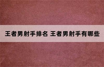 王者男射手排名 王者男射手有哪些